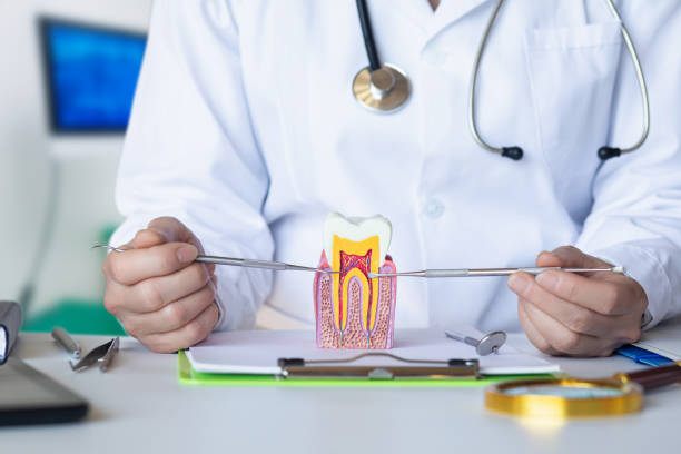 Best Emergency Root Canal Treatment in Rochelle, GA